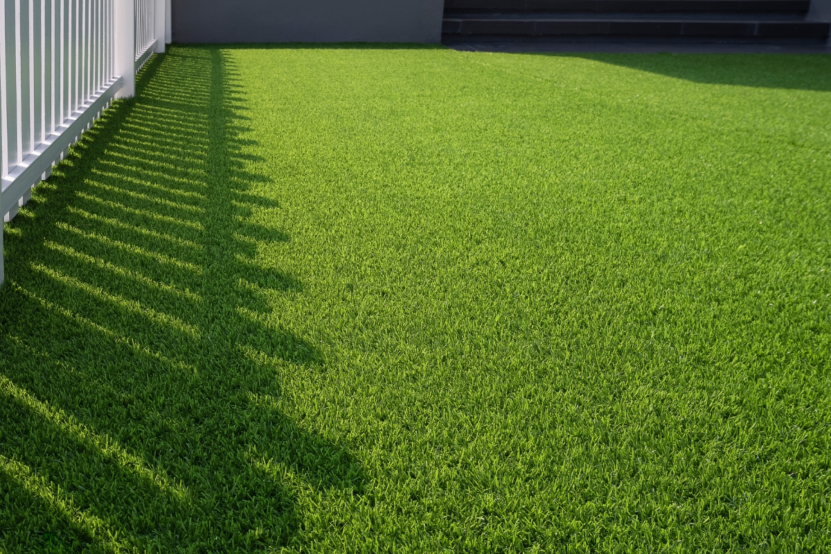 Artificial Lawn