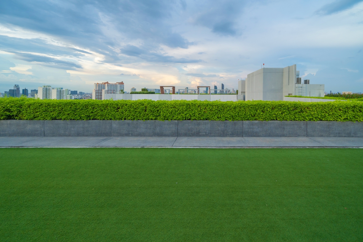 Adelaide Lawn Versatile Turf for Homes & Public Spaces