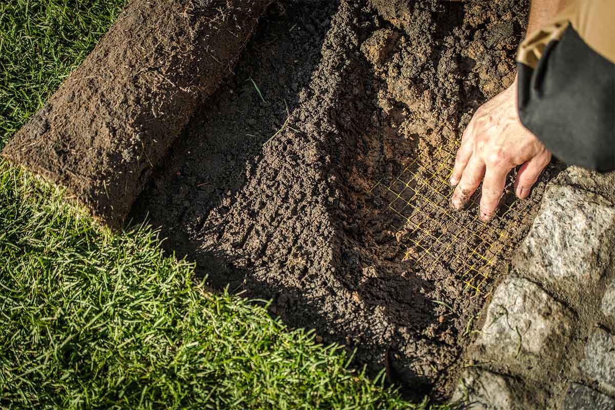 Instant-Lawn-Adelaide-4 Instant Lawn Adelaide
