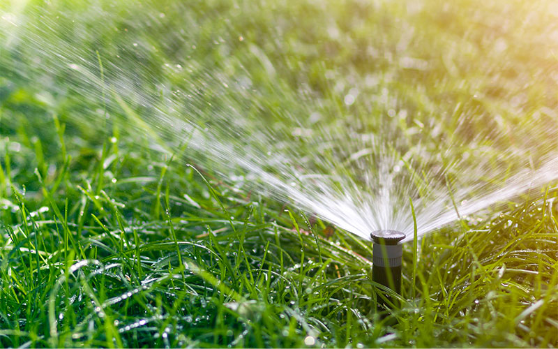 Irrigation-Installation-Service Irrigation Installation